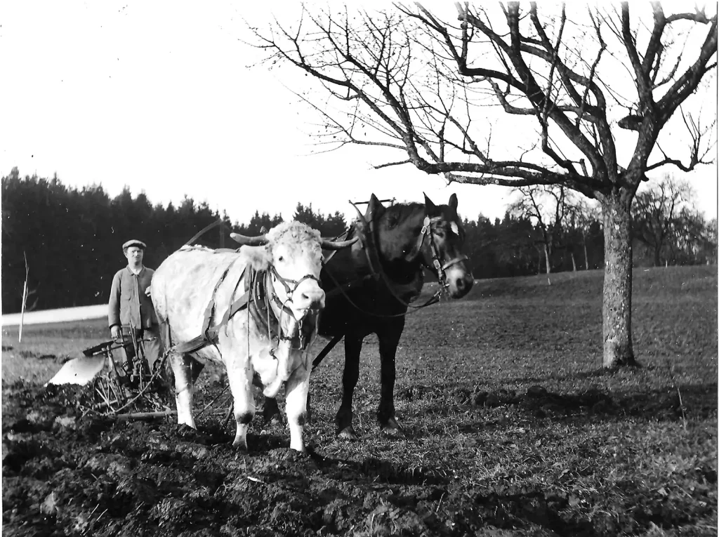 Landwirtschaft und Gewerbe in Gossau – Rückblick im Dürstelerhaus Historische Schwarz-Weiss-Fotos von Bauern, Handwerkern und Gewerbetreibenden in Gossau