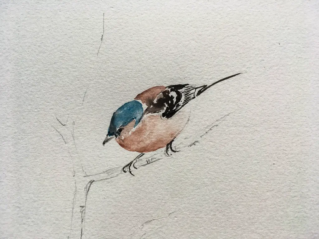 Begegnungen – Aquarellausstellung im Dürstelerhaus Gossau Aquarelle von Karin Reinhardt-Wolf mit Tier- und Pflanzenmotiven