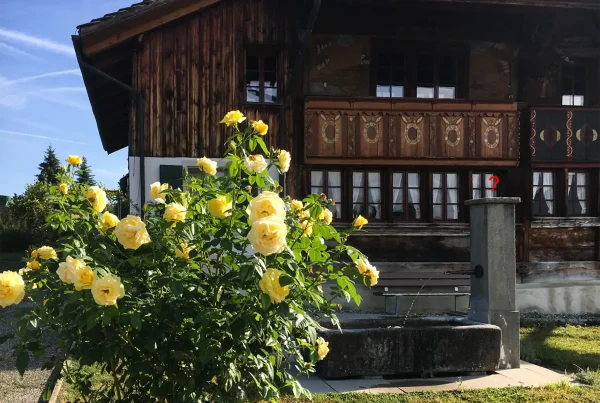 Brunnenfigur vor dem Dürstelerhaus mit blühendem Kräutergarten