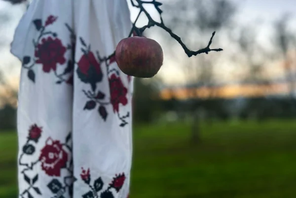 Bestickte ukrainische Tücher mit traditionellen Mustern in leuchtenden Farben