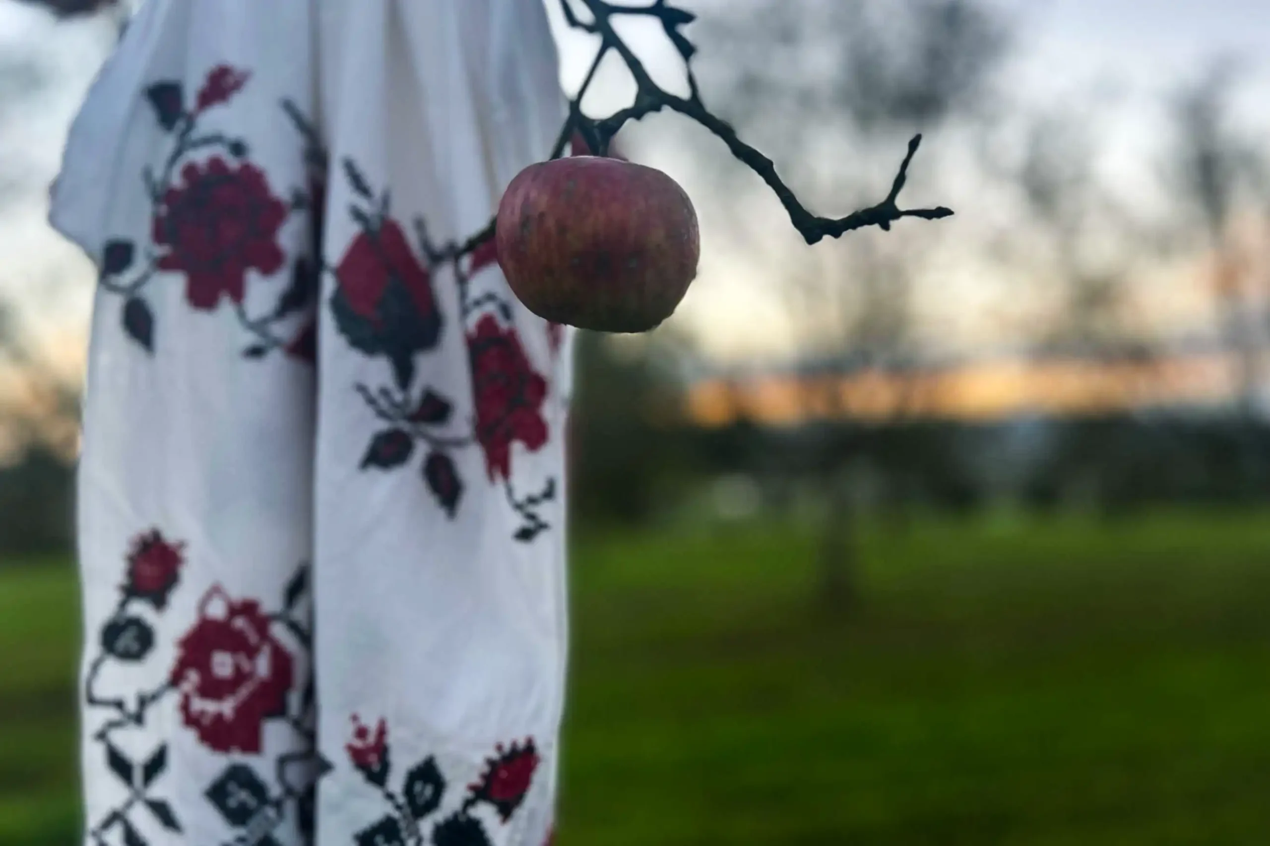 Bestickte ukrainische Tücher mit traditionellen Mustern in leuchtenden Farben